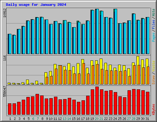 Daily usage for January 2024