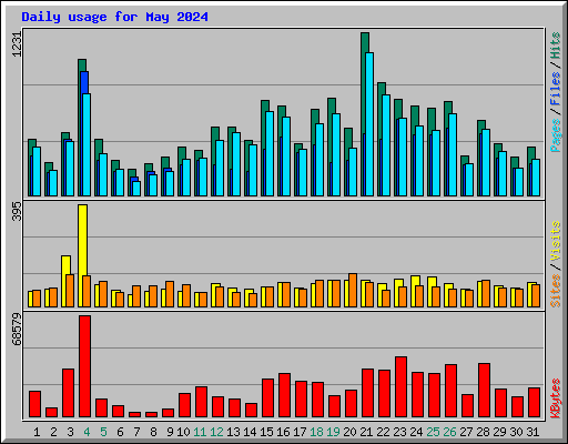 Daily usage for May 2024