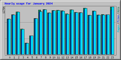 Hourly usage for January 2024