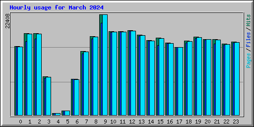 Hourly usage for March 2024