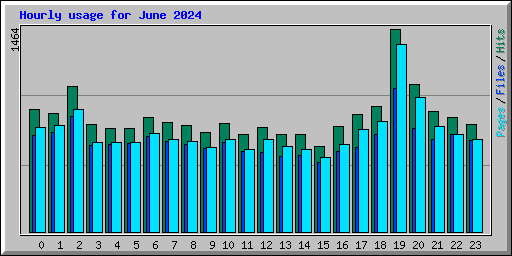 Hourly usage for June 2024